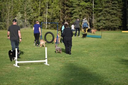 LEVEL 2 OBEDIENCE: Advanced Training - Group Lessons - Quesnel 2 LEVEL 2 OBEDIENCE: Advanced Training - Group Lessons - Quesnel