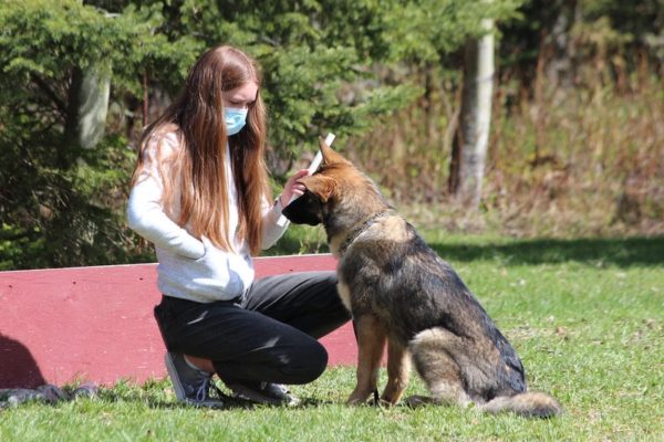LEVEL 1 OBEDIENCE: Teen/Adult Beginners - Set of 7 Group Lessons - Prince George 4 LEVEL 1 OBEDIENCE: Teen/Adult Beginners - Set of 7 Group Lessons - Prince George