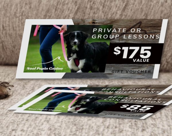 Dog Lessons Gift Certificate